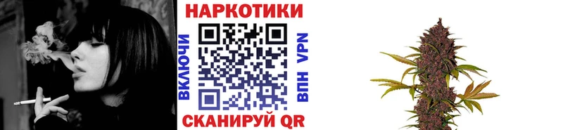 Магазины продажи наркотиков Наволоки Псилоцибиновые грибы  Cocaine  МЕФ  Бошки Шишки 
