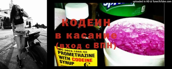 твердый Богданович