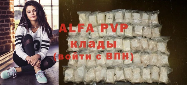 твердый Богданович