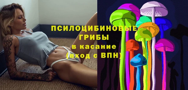mdma Белокуриха